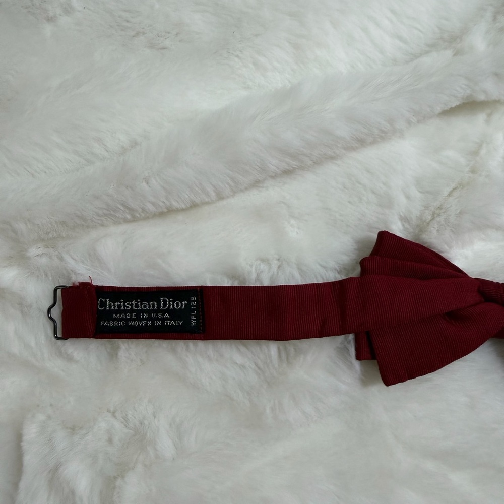 Christian Dior Burgundy Tie